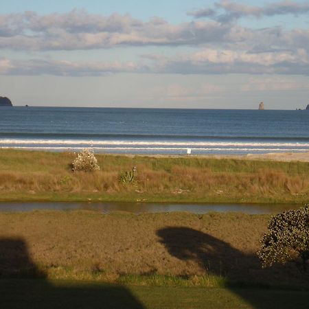 Absolute Beachview B & B Whitianga Exteriör bild