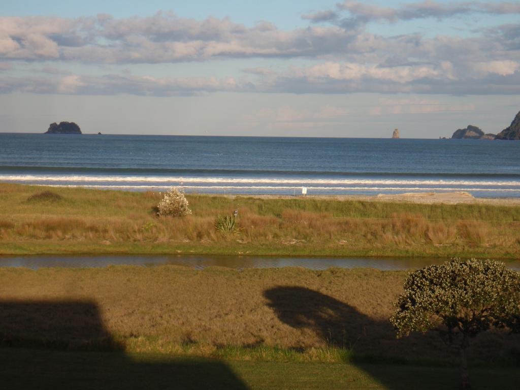 Absolute Beachview B & B Whitianga Exteriör bild
